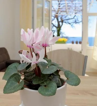 Appartement M&p *